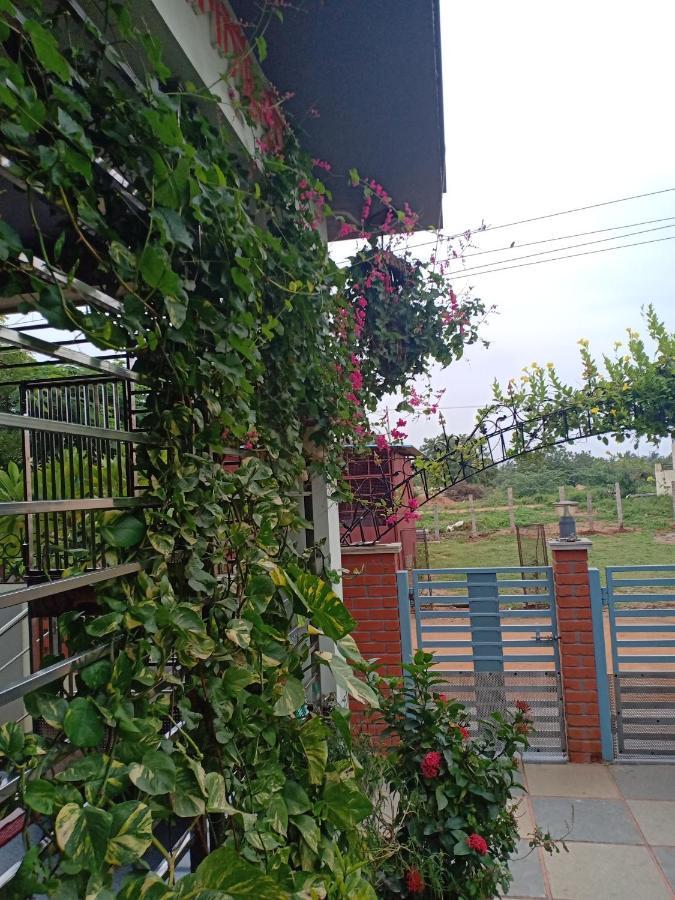 Mango Tree Homestay Hampi Dış mekan fotoğraf