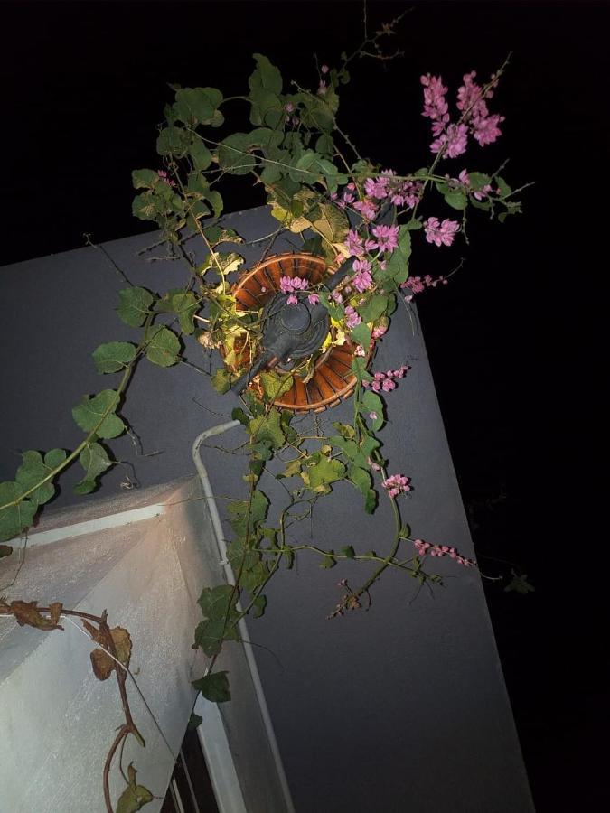 Mango Tree Homestay Hampi Dış mekan fotoğraf