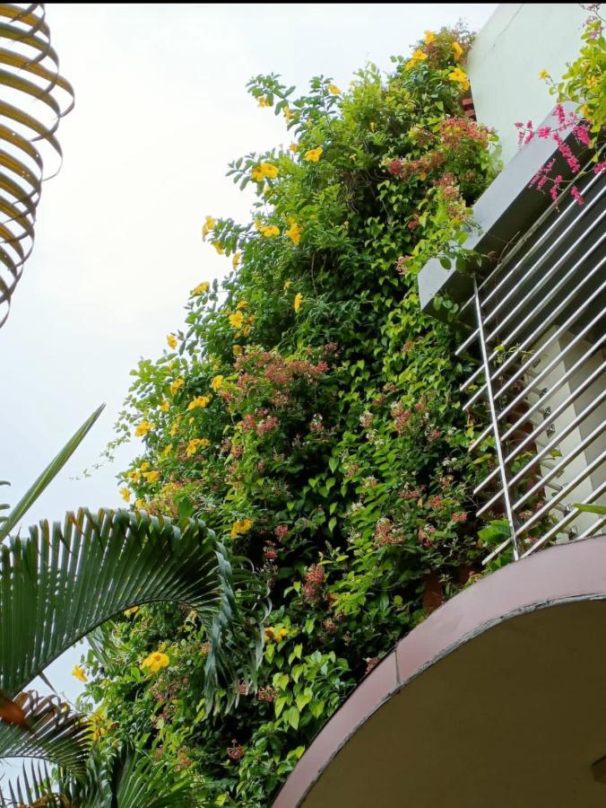 Mango Tree Homestay Hampi Dış mekan fotoğraf