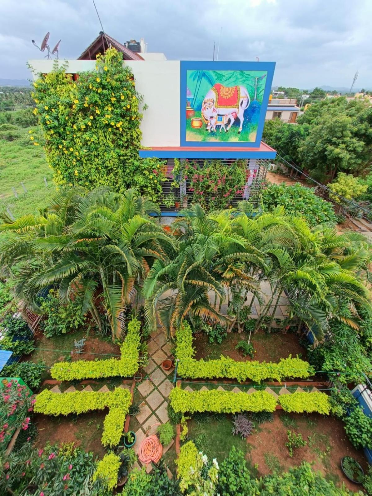 Mango Tree Homestay Hampi Dış mekan fotoğraf